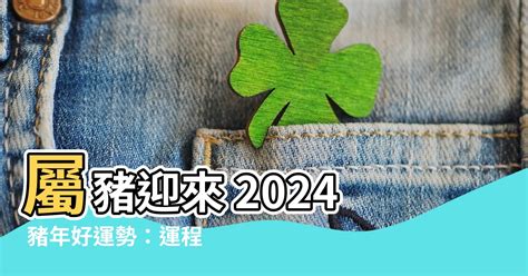 2024豬年運程1983|【2024豬年運程1983】豬年運勢預測！1983年屬豬人2024年生肖。